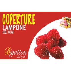 COPERTURA LAMPONE
