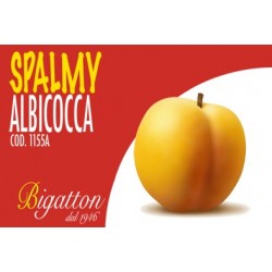 SPALMY ALBICOCCA