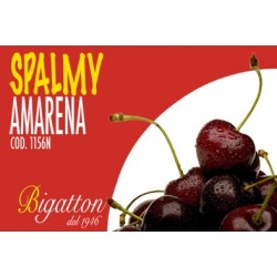 SPALMY AMARENA