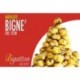VARIEGATO BIGNE'