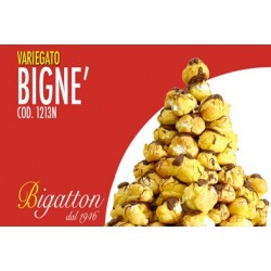 VARIEGATO BIGNE'