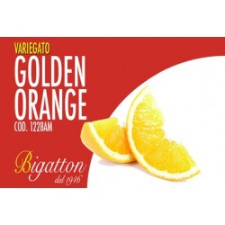 VARIEGATO GOLDEN ORANGE