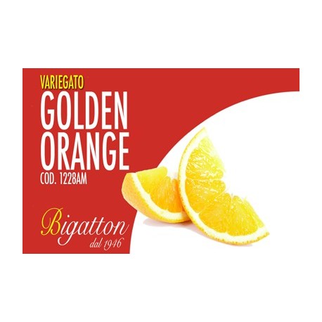 VARIEGATO GOLDEN ORANGE